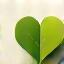 Eco-friendly icon: heart and leaf